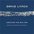 Catching the Big Fish: Meditation, Consciousness, and Creativity