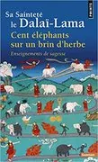 Cent Éléphants sur un Brin D&#39;Herbe: 