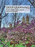 Deep Learning: 