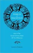 Pebbles of Perception: How a Few Good Choices Make All The Difference