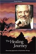 The Healing Journey: Pioneering Approaches to Psychedelic Therapy